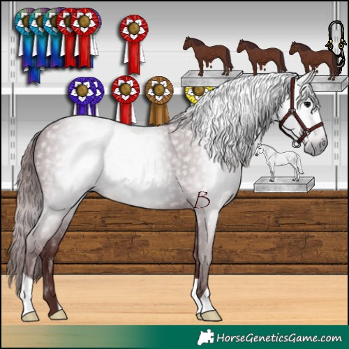 Horse Color:Gray Chocolate Black 