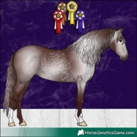 Horse Color:Gray Chocolate Black 