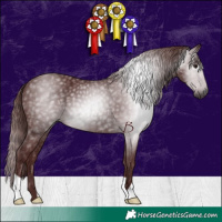 Horse Color:Gray Chocolate Black 