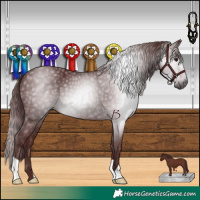Horse Color:Gray Chocolate Black