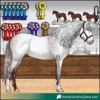 Horse Color:Gray Chocolate Black 