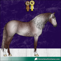 Horse Color:Gray Chocolate Black 