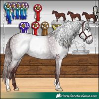 Horse Color:Gray Chocolate Black
