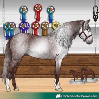 Horse Color:Gray Chocolate Black
