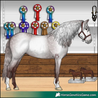 Horse Color:Gray Chocolate Black
