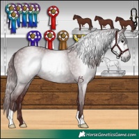 Horse Color:Gray Chocolate Black 
