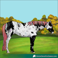 Horse Color:ERROR: UNKNOWN ANOMALY