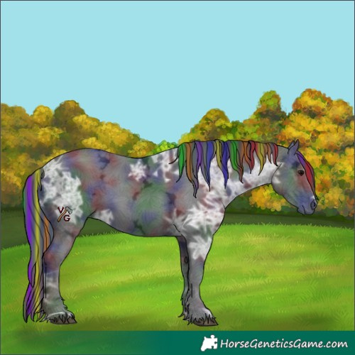 Horse Color:Painted Nacre Black Ice