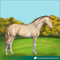 Horse Color:White Spotted Amber Cream Champagne Splash Tobiano Skewed LP Spotted