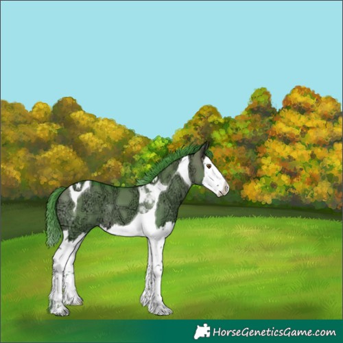 Horse Color:Watercolor Brown Ice Dun Splash Tobiano 