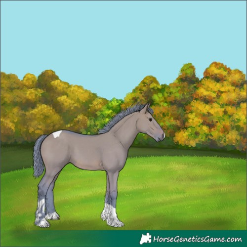 Horse Color:Watercolor Brown Dun Tobiano 