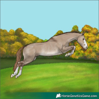 Horse Color:Liver Red Dun Rabicano