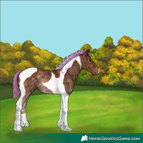 Horse Color:Painted Chestnut Ice Tobiano 