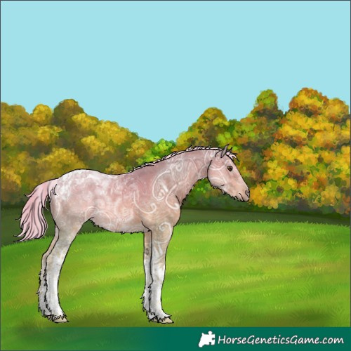 Horse Color:Watercolor Palomino Ice Tobiano 