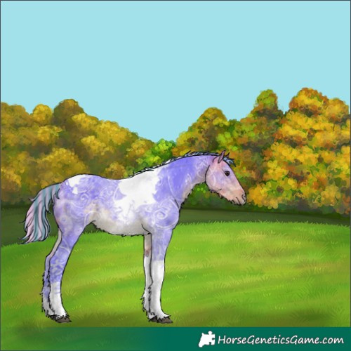 Horse Color:Painted Watercolor Silver Buckskin Ice Tobiano 