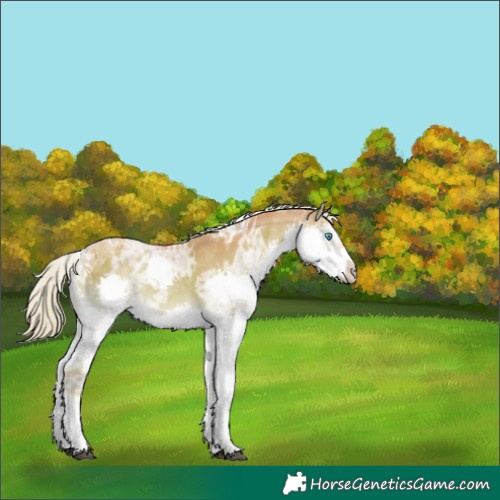 Horse Color:Watercolor Palomino Ice Onyx Splash Tobiano 