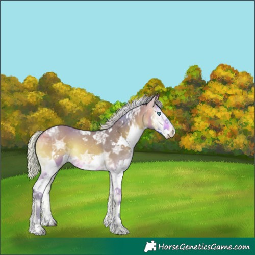 Horse Color:Watercolor Silver Buckskin Ice Onyx Splash Tobiano 