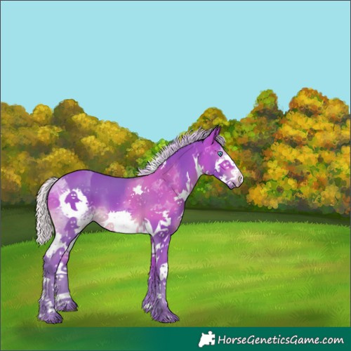 Horse Color:Watercolor Silver Brown Splash Tobiano 