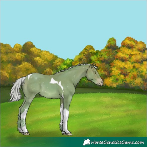 Horse Color:Watercolor Silver Sable Champagne Tobiano 