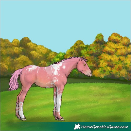 Horse Color:Watercolor Sable Champagne Tobiano 