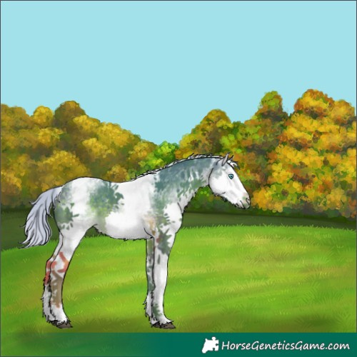 Horse Color:Watercolor White Spotted Silver Brown Splash Tobiano 