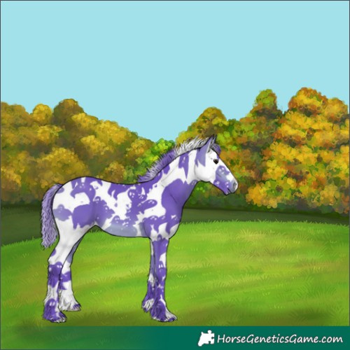 Horse Color:Watercolor Bay Splash Tobiano 