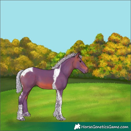 Horse Color:Watercolor Silver Bay Tobiano 