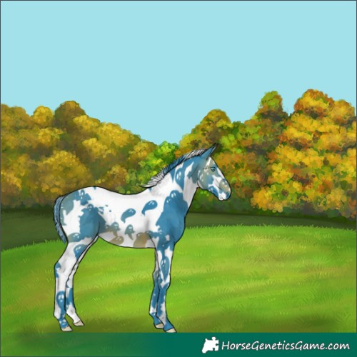 Horse Color:Watercolor Bay Splash Tobiano 
