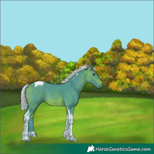 Horse Color:Watercolor Silver Bay Tobiano 