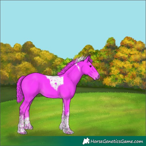 Horse Color:Watercolor Liver Chestnut Tobiano 