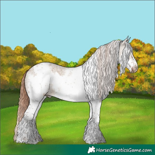 Horse Color:White Spotted Liver Red Dun Tobiano Frame Rabicano
