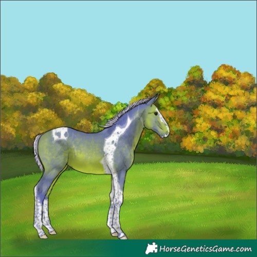 Horse Color:Watercolor Silver Bay Splash Tobiano 