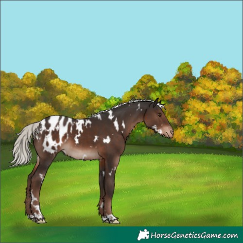 Horse Color:White Spotted Liver Chestnut Mushroom Blanket 