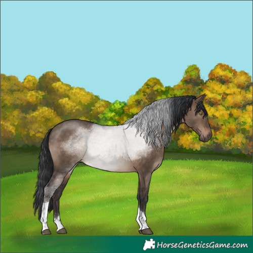 Horse Color:Brown Dun Tobiano Rabicano 