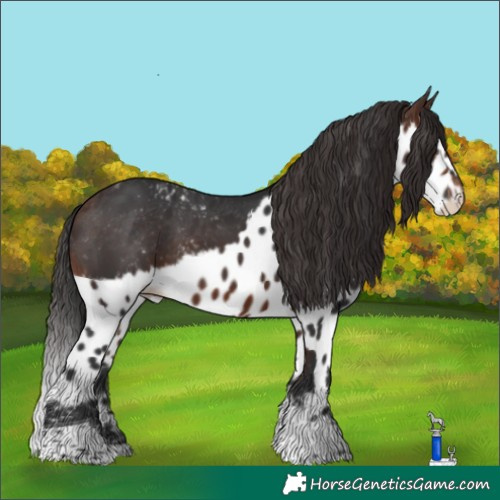 Horse Color:Brown Tobiano Skewed LP Spotted 