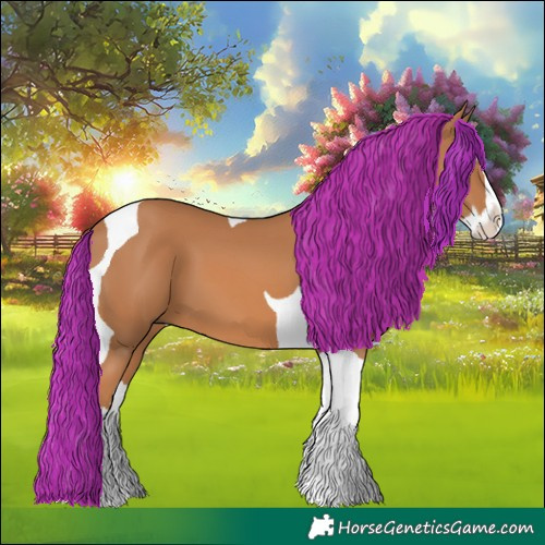 Horse Color:Chestnut Splash Tobiano 