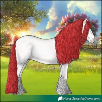 Horse Color:Cremello Dun 