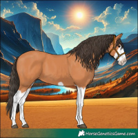 Horse Color:Bay Splash Frame