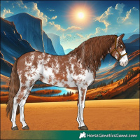 Horse Color:Chestnut Sabino