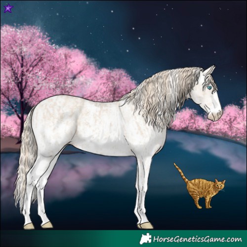 Horse Color:Smoky Creme Sabino  and Smoky Creme Dun Sabino 