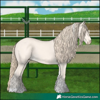 Horse Color:Perlino Dun Tobiano 
