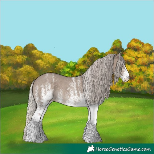 Horse Color:White Spotted Silver Grullo 