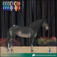 Horse Color:Black Tobiano