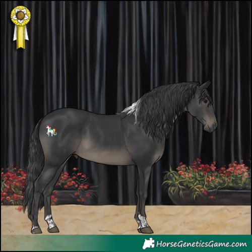 Horse Color:Black Tobiano 