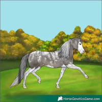 Horse Color:Powder White Grullo Splash Varnish