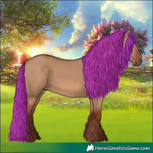 Horse Color:Red Dun 