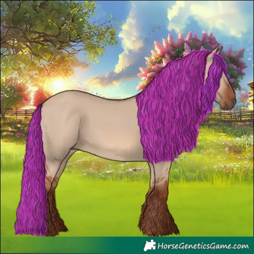 Horse Color:Red Dun