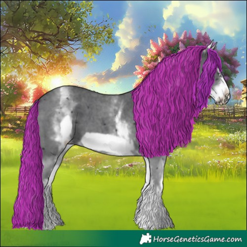 Horse Color:White Spotted Black Sabino Frame 