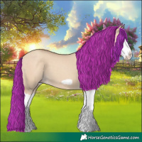 Horse Color:Silver Classic Champagne Dun Splash Frame