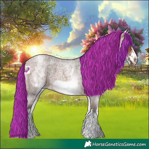 Horse Color:White Spotted Bay Roan Frame